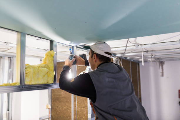 Best Wall Insulation Contractor  in Lincoln, NE