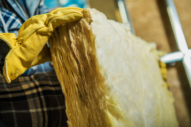 Best Spray Foam Insulation  in Lincoln, NE