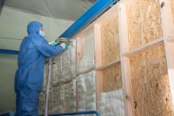 Best Insulation Repair Services  in Lincoln, NE